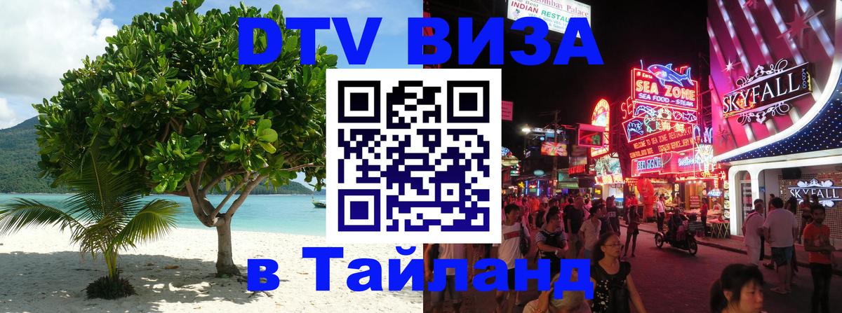 Сколько стоит DTV виза — актуальные цены, оформление даже без документов - 20.11.2025 